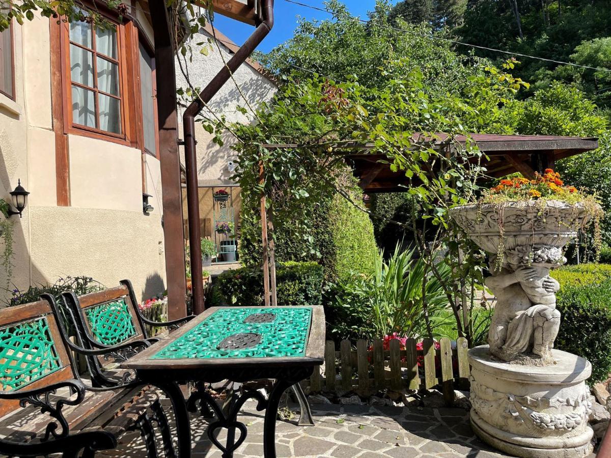 Hotel Dream House Braşov Exterior foto